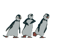 Dancing Penguin